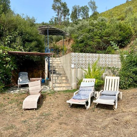 Unique Tiny House With Natural Building Techniques Figueiro Dos Vinhos Exterior foto