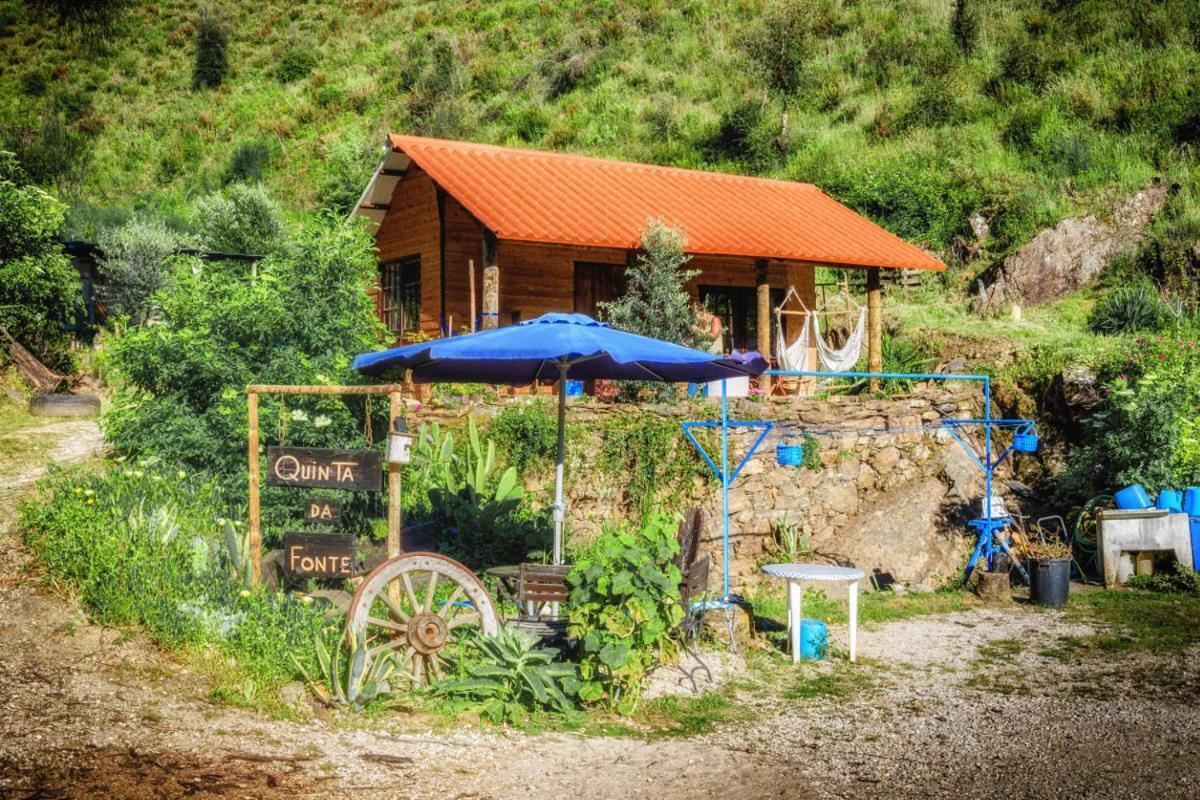 Unique Tiny House With Natural Building Techniques Figueiro Dos Vinhos Exterior foto