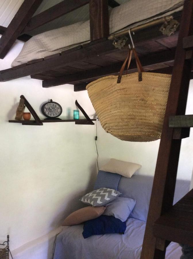 Unique Tiny House With Natural Building Techniques Figueiro Dos Vinhos Exterior foto
