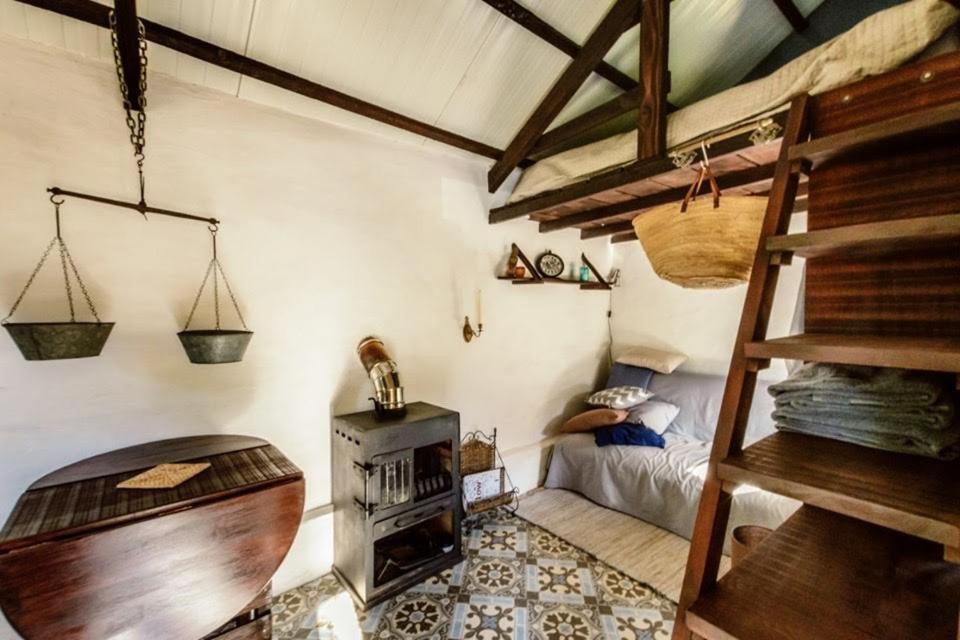 Unique Tiny House With Natural Building Techniques Figueiro Dos Vinhos Exterior foto